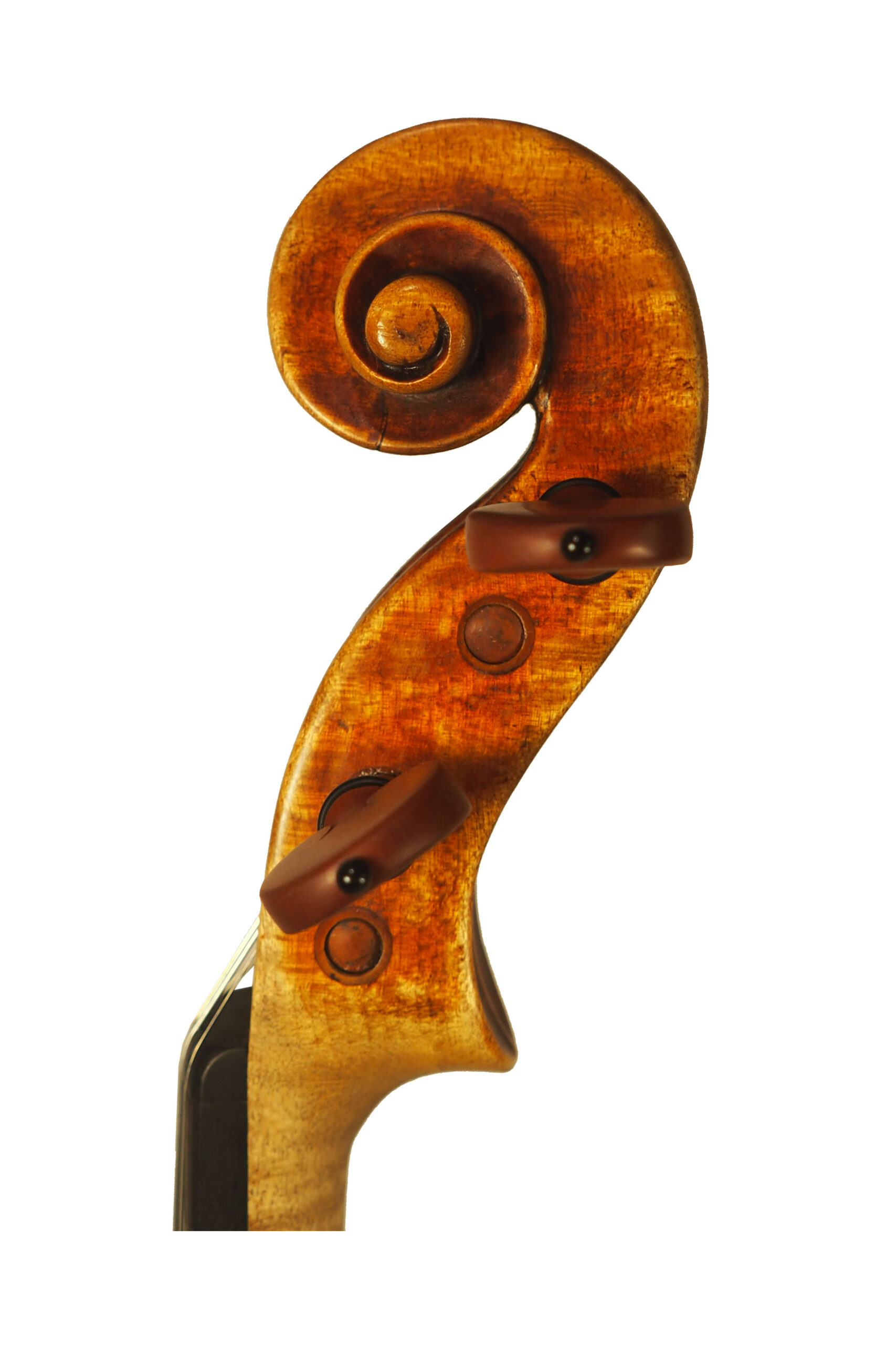 heifetz 2023 testa des